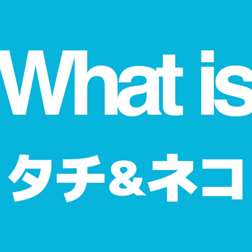 タチとネコの意味とは？同性愛用語を徹底解説